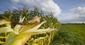 Ökogas: eine sinnvolle Methode um zu Heizen?