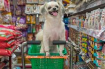 Hundefutter-Deklaration: Das ist wichtig für den Verbraucher