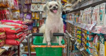 Hundefutter-Deklaration: Das ist wichtig für den Verbraucher
