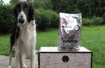 GENESIS vs. PLATINUM im Hundefutter Test vergleichen wir beide Vollnahrungen