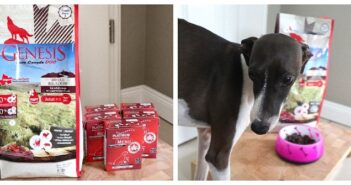 Hundefutter von PLATINUM & GENESIS im Test