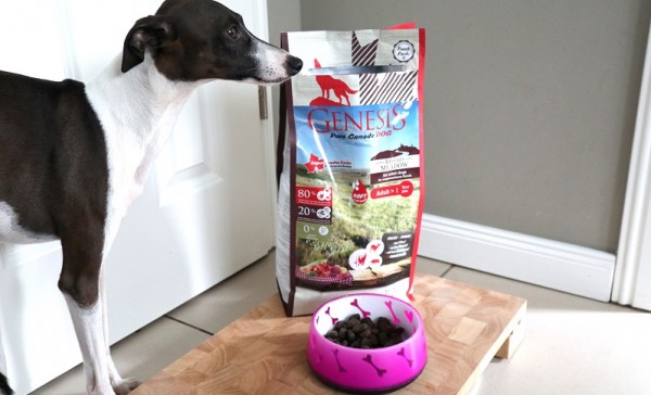 Hundefutter von Platinum & Genesis im Test