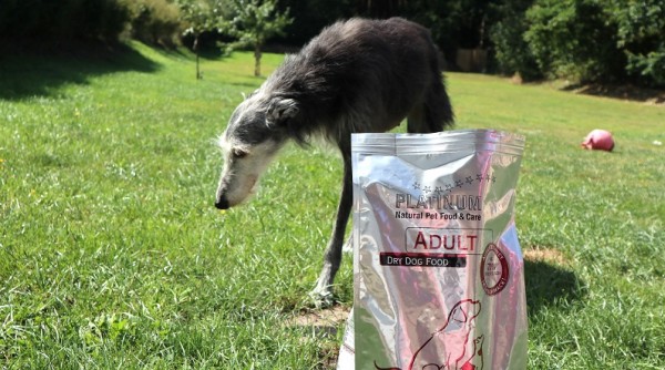 GENESIS vs. PLATINUM Trockenfutter Test