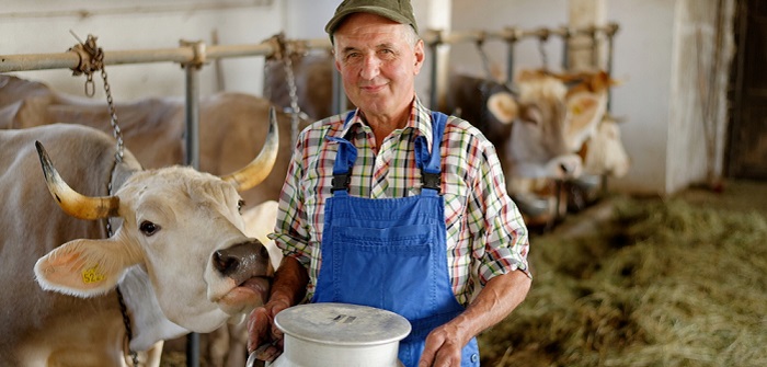 Milchmengenmessung steigert nachhaltig die Produktionsmenge