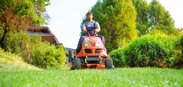 Für große Flächen der Aufsitzrasenmäher  ( Foto: Adobe Stock -  Paolese  )