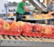 "Unter Schutzatmosphäre verpackt": 3 Gründe, warum Folien in der Lebensmittelproduktion wichtig sind (AdobeStock - industrieblick)