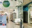 CBD Shops: Worauf soll man beim Kauf achten (Foto: AdobeStock - whyframeshot 363782201)