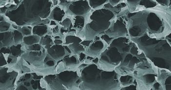 Bahnbrechende Entdeckung: Hochwertige Nanocellulose aus Bierabfall (Foto: Empa)