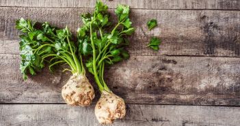 Knollensellerie: Regionales Herbstgemüse mit vielseitigem Aroma und wertvollen (Foto: AdobeStock - sebra - 196527001)