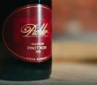 Lucas Pichler präsentiert Wachauer Pinot Noir auf Weinmesse (Foto: Co Merz)